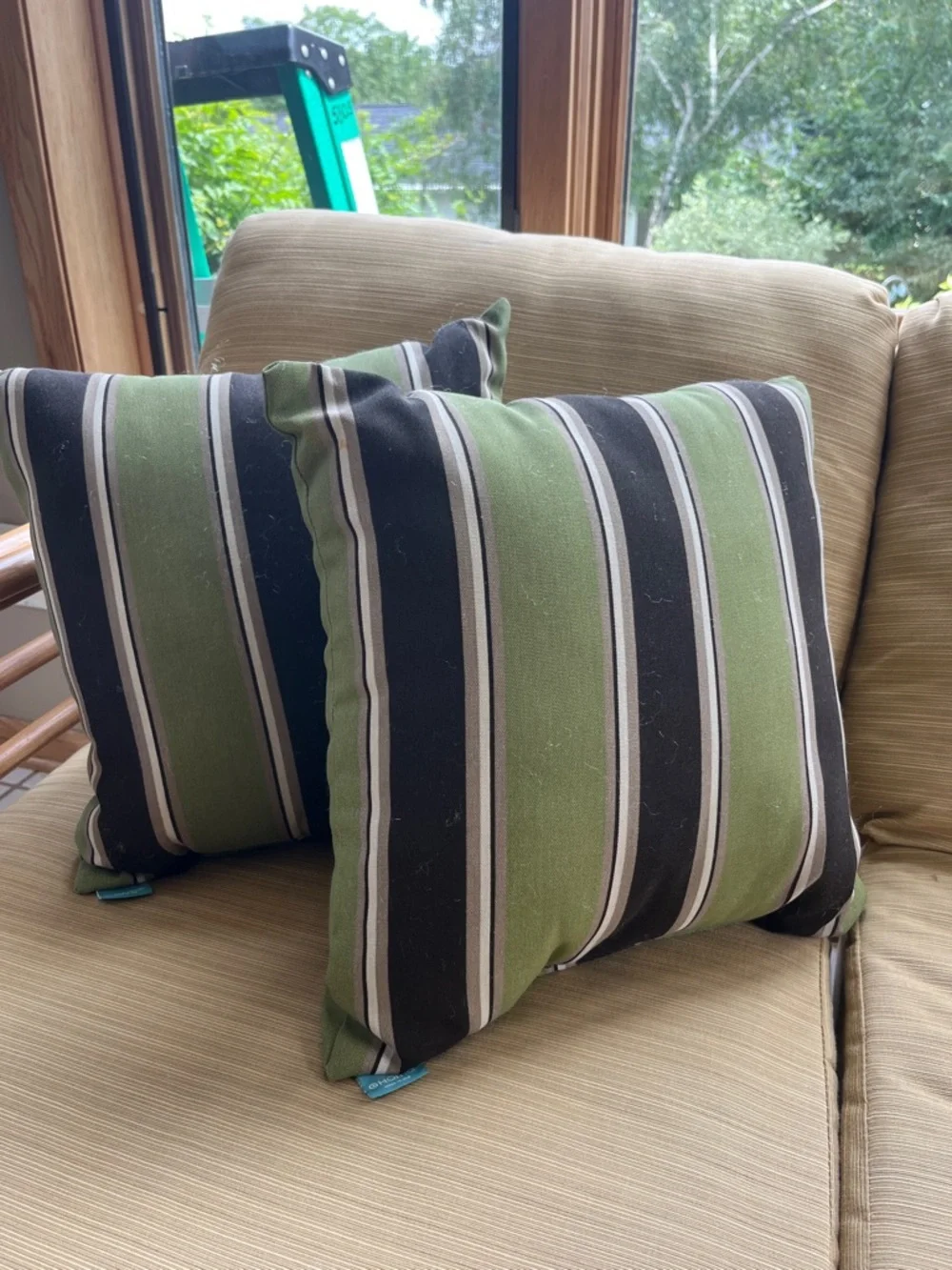 Target Home Outdoor Accent Pillows set of 2
